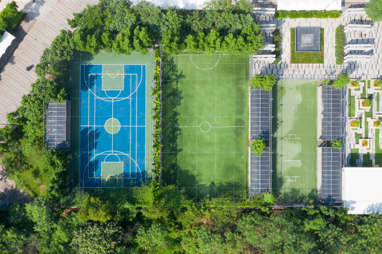Sports Turf